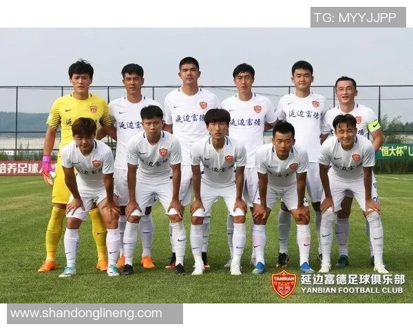 延边籍足球明星的辉煌历程与成就汇总表格 延边籍足球明星的辉煌历程与成就汇总表格